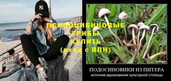 дмт Армянск