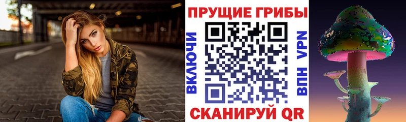 Галлюциногенные грибы Psilocybine cubensis  Суджа 